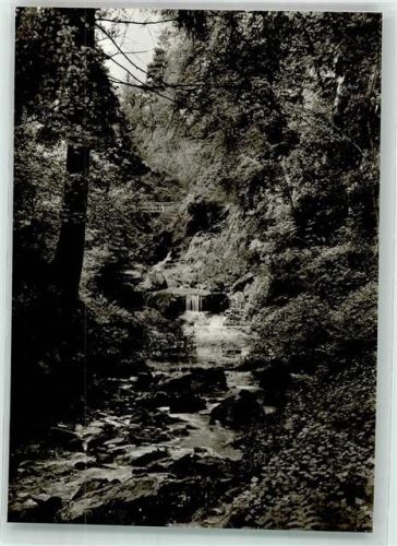 Wildberg Lützenschlucht