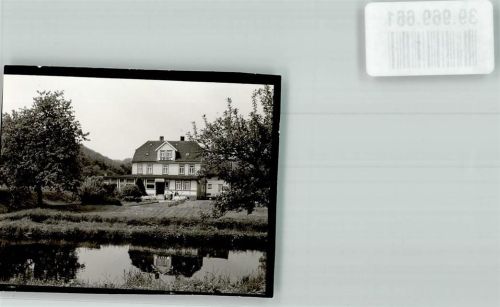 Wieda Hotel Forellengrund Foto Original aus Archiv eines Ansichtskartenverlags Ort handschriftlich