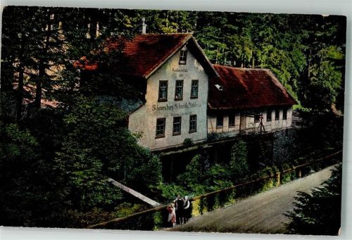 Friedrichroda 1906 Hotel Schauenburgmühle