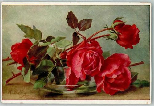 Stillleben Rosen