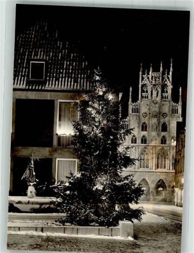 Münster Winter Michaelisbrunnen Rathaus bei Nacht