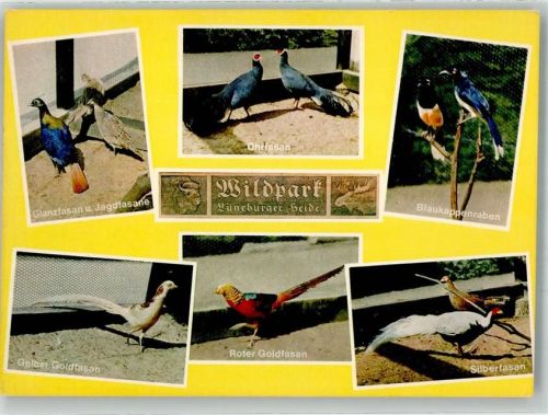 Hanstedt Fasanerie im Wildpark Lüneburger Heide