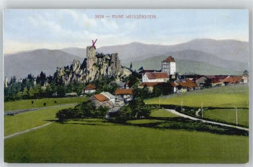 Regen Ruine Weissenstein
