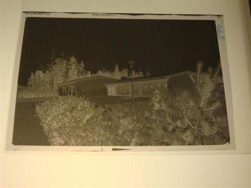 Waldaubach Negativ