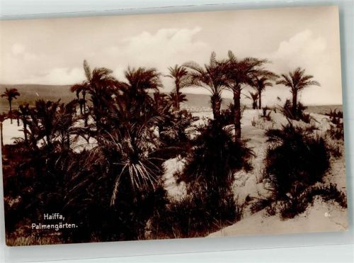 Haifa Palmengarten Trinks-Bildkarte Reihe 701 Bild 6
