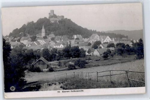 Falkenstein Blick zur Burg