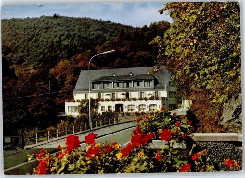 56864 W5582 Bad Bertrich - Hotel Diana