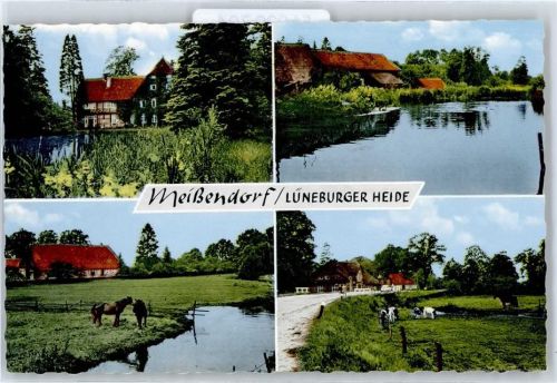 Meißendorf Gasthaus, Seepartie