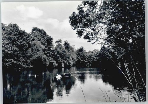 Lünzen Landschaft mit Schwänen