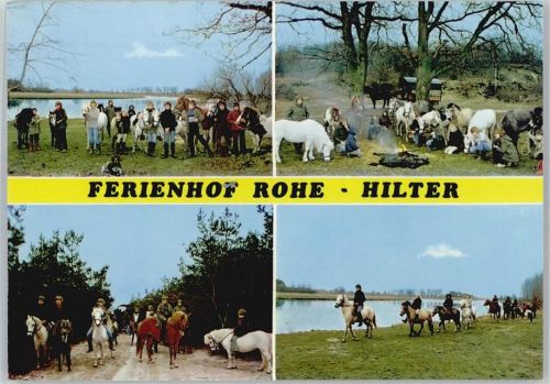 Hilter Ferienhof Rohe, Pferd