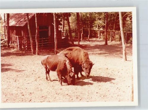 Nordhorn Fotoabzug, Tierpark