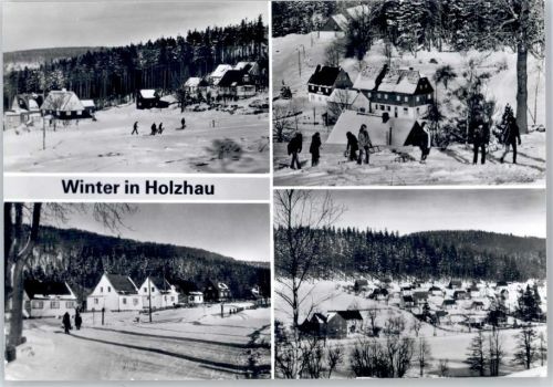 Holzhau im Winter AKU1
