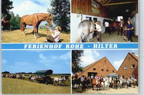 49762 W4474 Hilter (Ems) - Ferienhof Rohe, Pferd