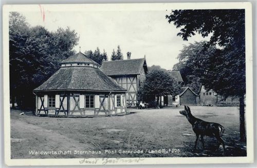 Gernrode Waldwirtschaft Sternhaus