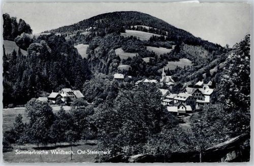 Rieglerviertel Waldbach
