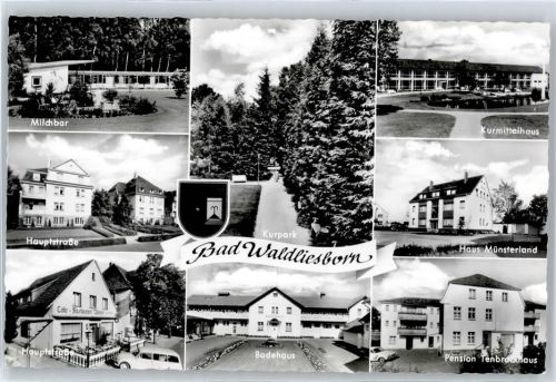 Bad Waldliesborn Milchbar, Kurpark, Kurmittelhaus, Haus Münsterland, Pension Tenbrockhaus, Badehaus, Hauptstraße, Wappen