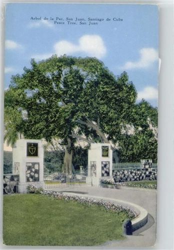 Santiago Arbol de la Paz, San Juan AKU1