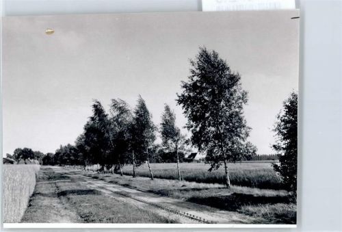 Hemslingen Fotoabzug, Landschaft