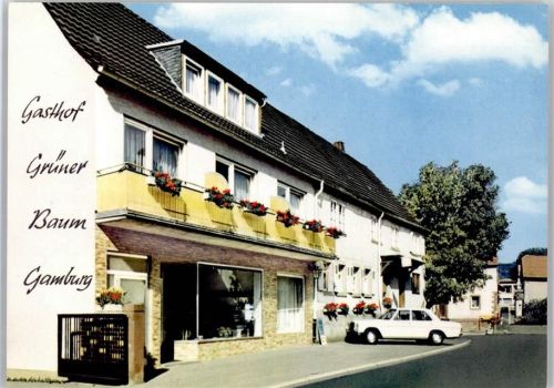 Gamburg Gasthaus zum grünen Baum