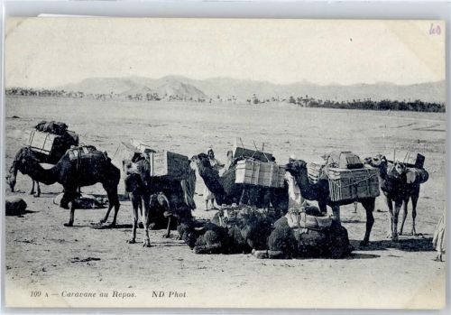 Caravanne au Repos