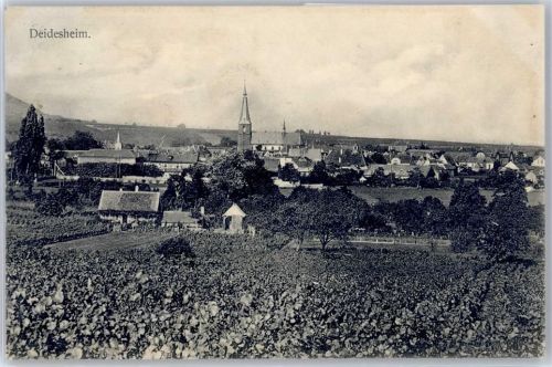 67146 W6705 Deidesheim