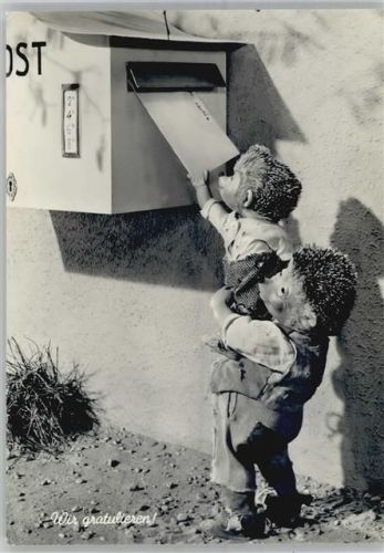 Igel, Briefkasten, Gratulation