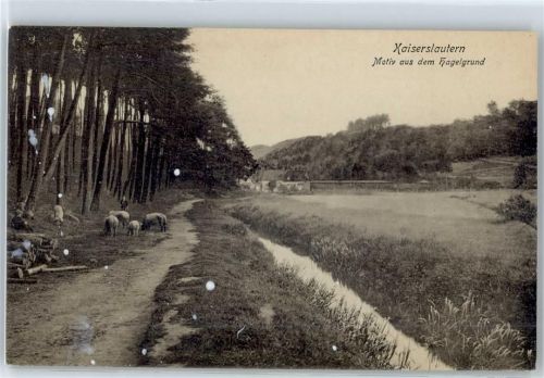 Kaiserslautern Motiv aus dem Hagelgrund