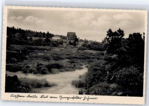 01773 O8242 Altenberg , Erzgeb - Lugsteinbaude, Blick vom Georgfelder Hochmoor