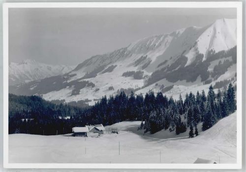 Hirschegg Foto, Wäldele - Kinderheim Sonneck