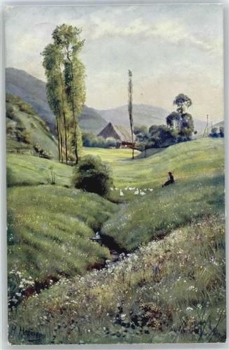 Schwarzwald Idyll