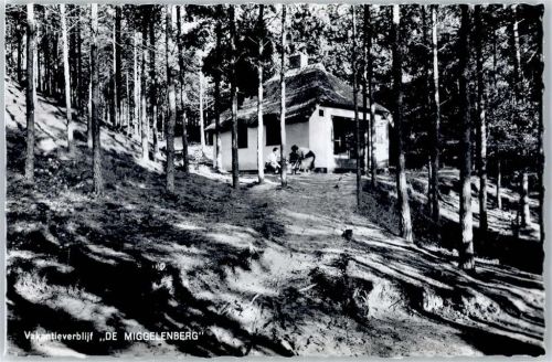 Hoenderloo De Miggelenberg