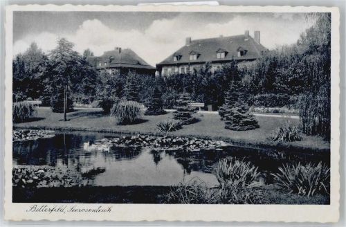 Bitterfeld Seerosenteich