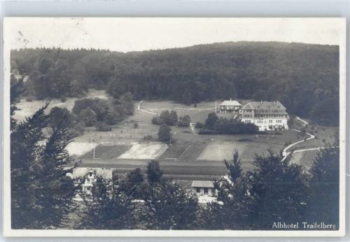 Honau Hotel Traifelberg