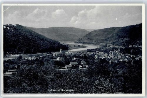 Neckargerach Totalansicht