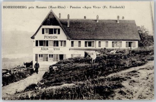 Munster Pension Aqua Viva