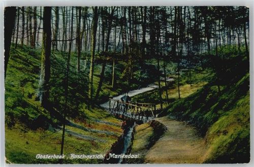 Oosterbeek Bochgezicht Mariendaal