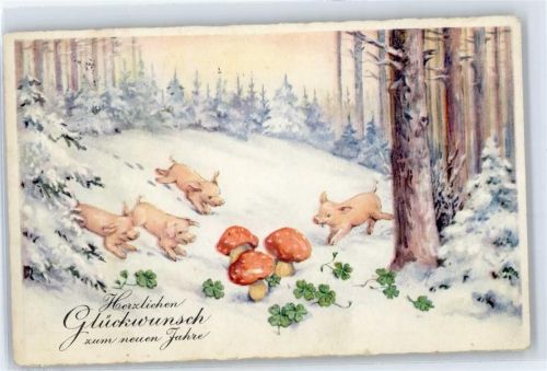 Pilz, Neujahr