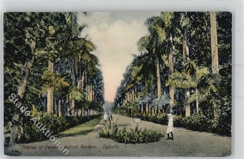 Calcutta Avenue of Palms Botanical Gardens