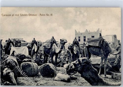 Aden Caravan at rest Sheikh Othman
