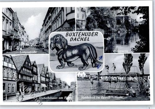 Buxtehude Dackel Schwimmbad Giebelhäuser
