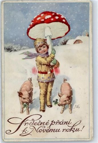 Schweine Kind Pilz