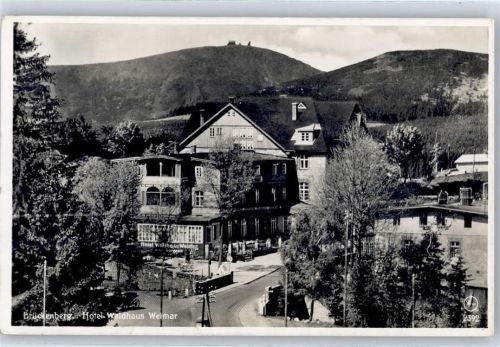 Brückenberg Hotel Waldhaus Weimar