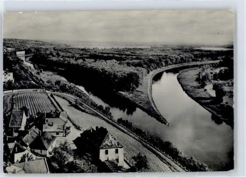 Melnik 1960