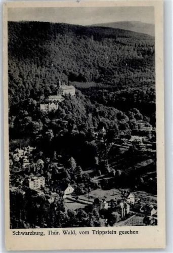 07427 O6825 Schwarzburg - Blick vom Trippstein