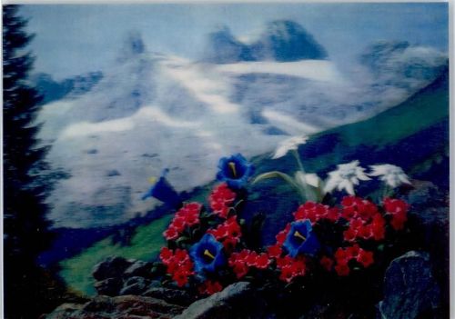 Blumen