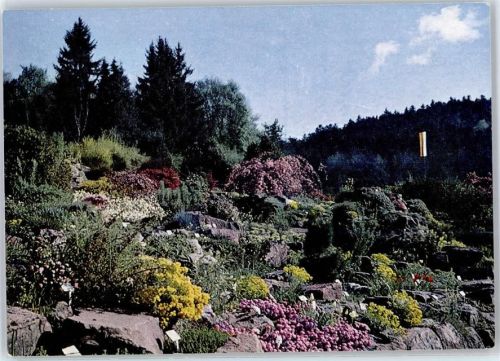 Würm Alpengarten