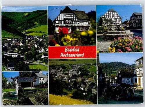 Bödefeld Kühe Brunnen Geschäft