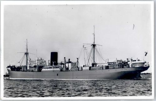 M.S. Tosari