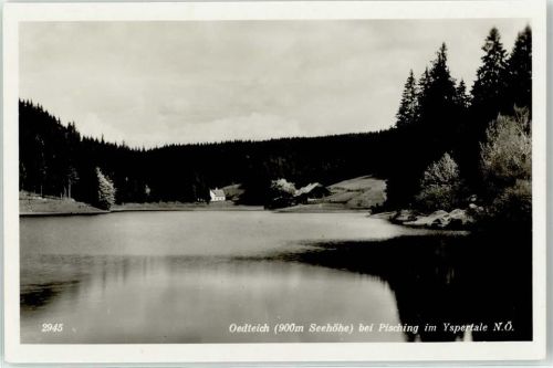 Pisching Oedteich