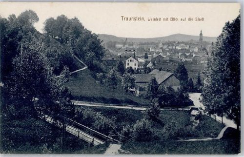 Traunstein Weinleit mit Blick auf die Stadt